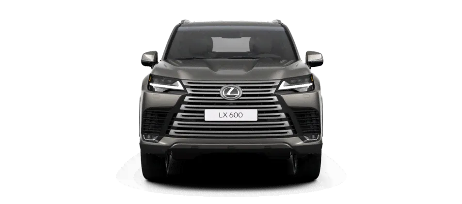 Lexus LX VIP Black-4