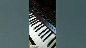Digital Piano Roland LX-706