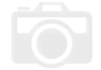 Печатающая головка Epson LX 350 F109020