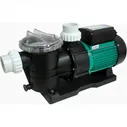Насос с префильтром AquaViva LX STP35M/VWS35M 5 м³/ч, 0.25 кВт, 220В, Китай