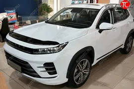 Дефлектор капота SIM EXEED LX (2021-2024)